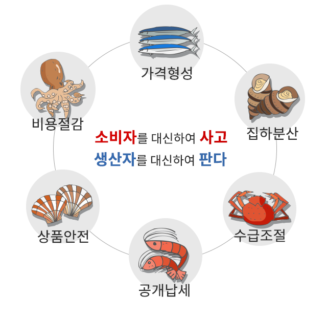 사단법인 전국수산물중도매인협회